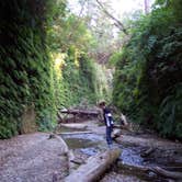 Review photo of Elk Prairie Campground — Prairie Creek Redwoods State Park by Anna R., July 17, 2018