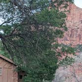 Review photo of South Campground — Zion National Park by Ralph , August 20, 2022