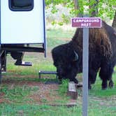 Review photo of Cottonwood Campground — Theodore Roosevelt National Park by Jackie F., August 20, 2022