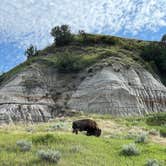 Review photo of Cottonwood Campground — Theodore Roosevelt National Park by Jackie F., August 20, 2022