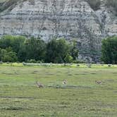 Review photo of Cottonwood Campground — Theodore Roosevelt National Park by Jackie F., August 20, 2022