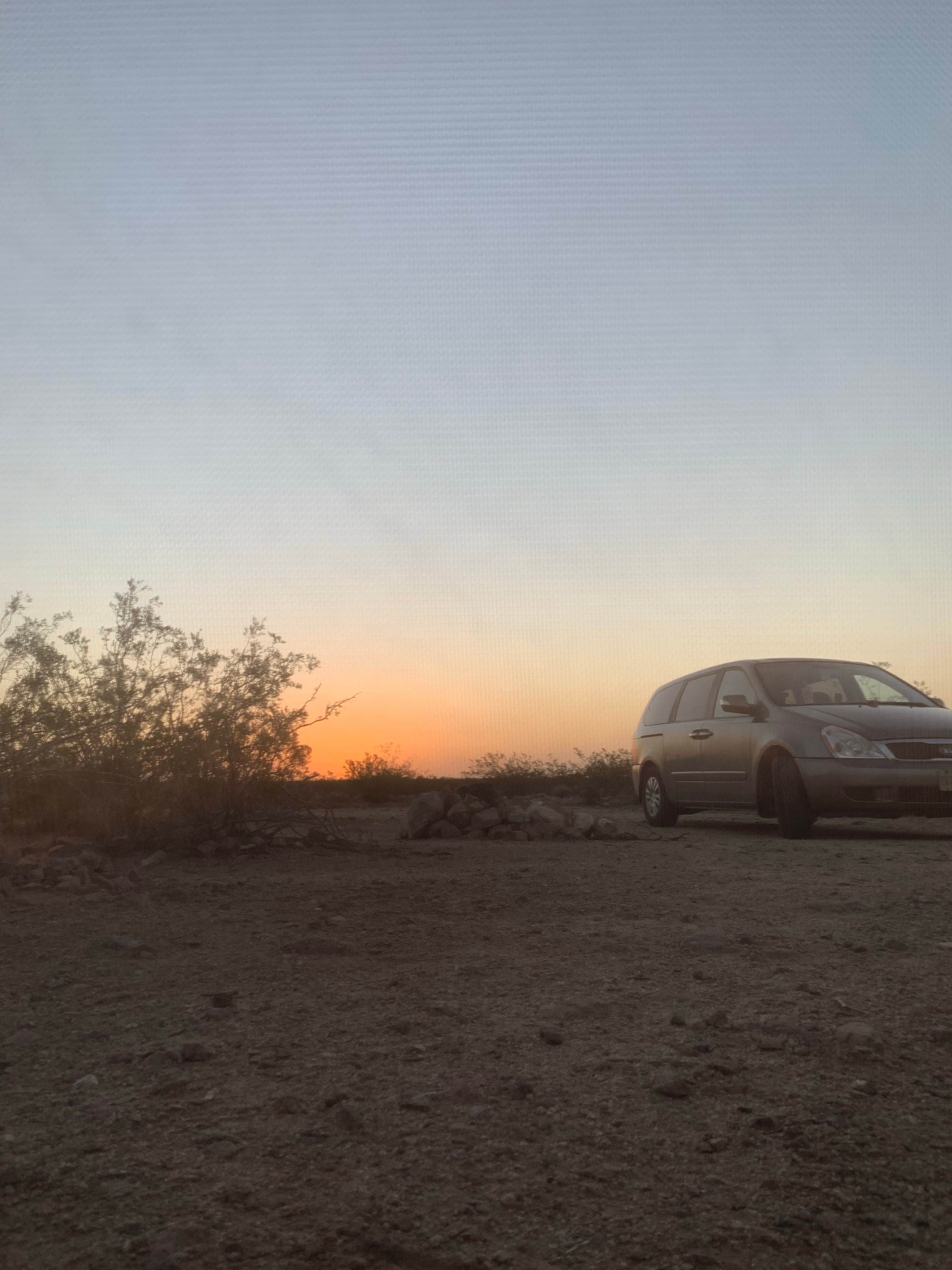 Camper submitted image from Piute Range Dispersed Camping — Mojave National Preserve - 1