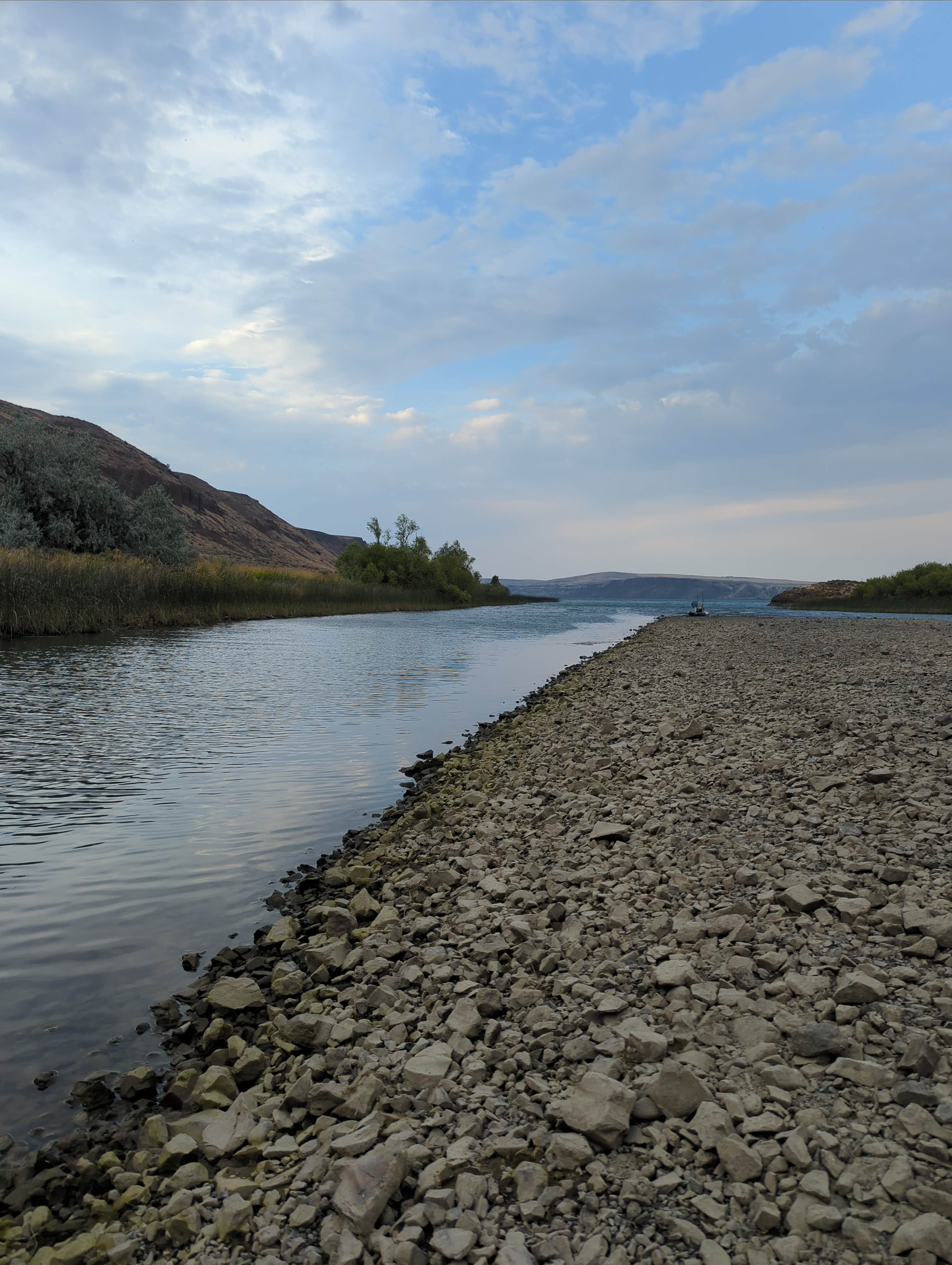 Camper-submitted photo at Ankeny #1 near Hartline, WA