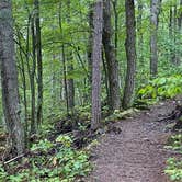 Review photo of Banning State Park Campground by James S., August 20, 2022