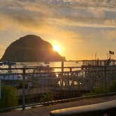 Review photo of Morro Bay State Park Campground by Steve H., August 20, 2022