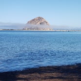 Review photo of Morro Bay State Park Campground by Steve H., August 20, 2022