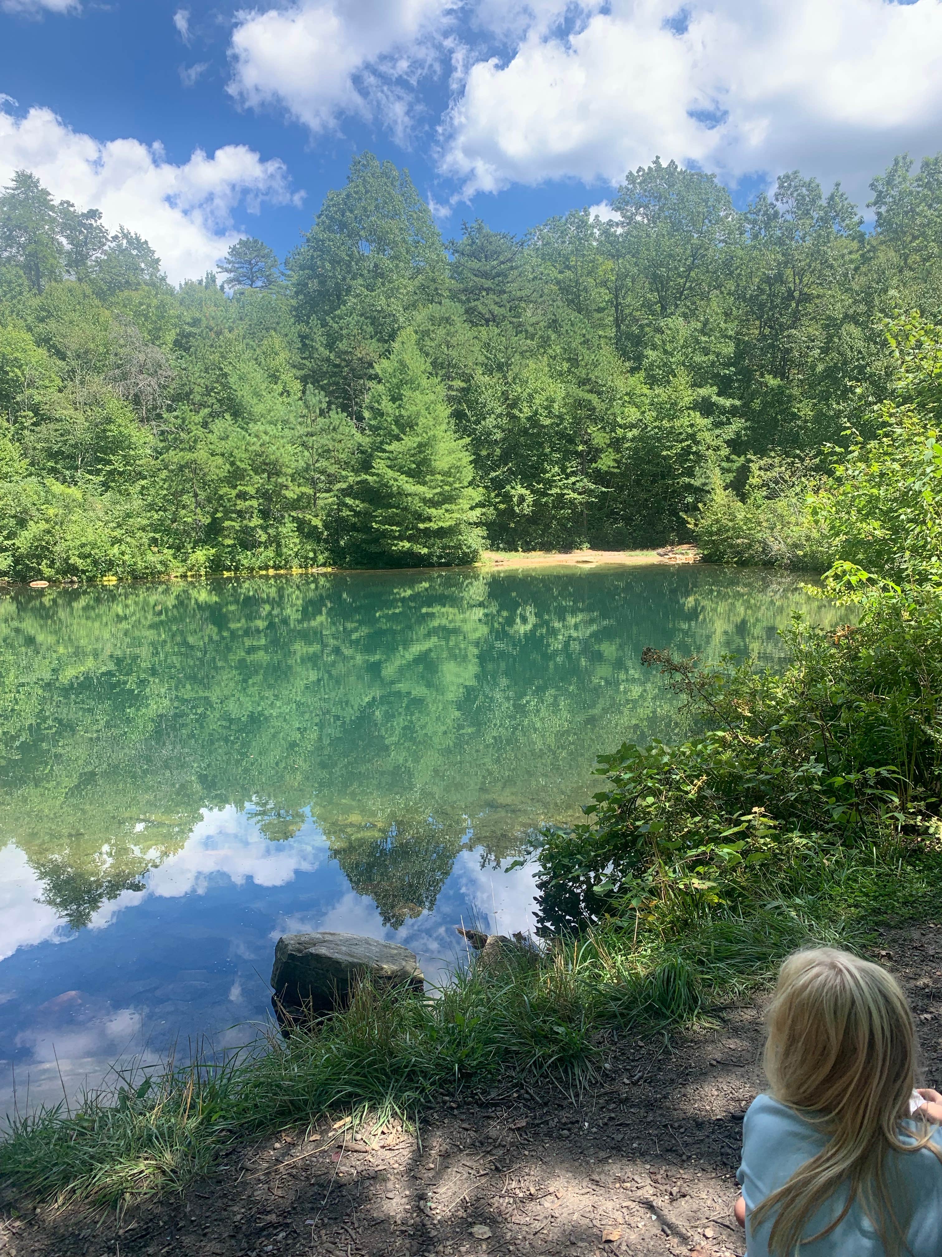 Camper submitted image from Emerald Pond Primitive Campground - 5