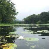 Review photo of Merrick State Park Campground by Beth D., August 20, 2022