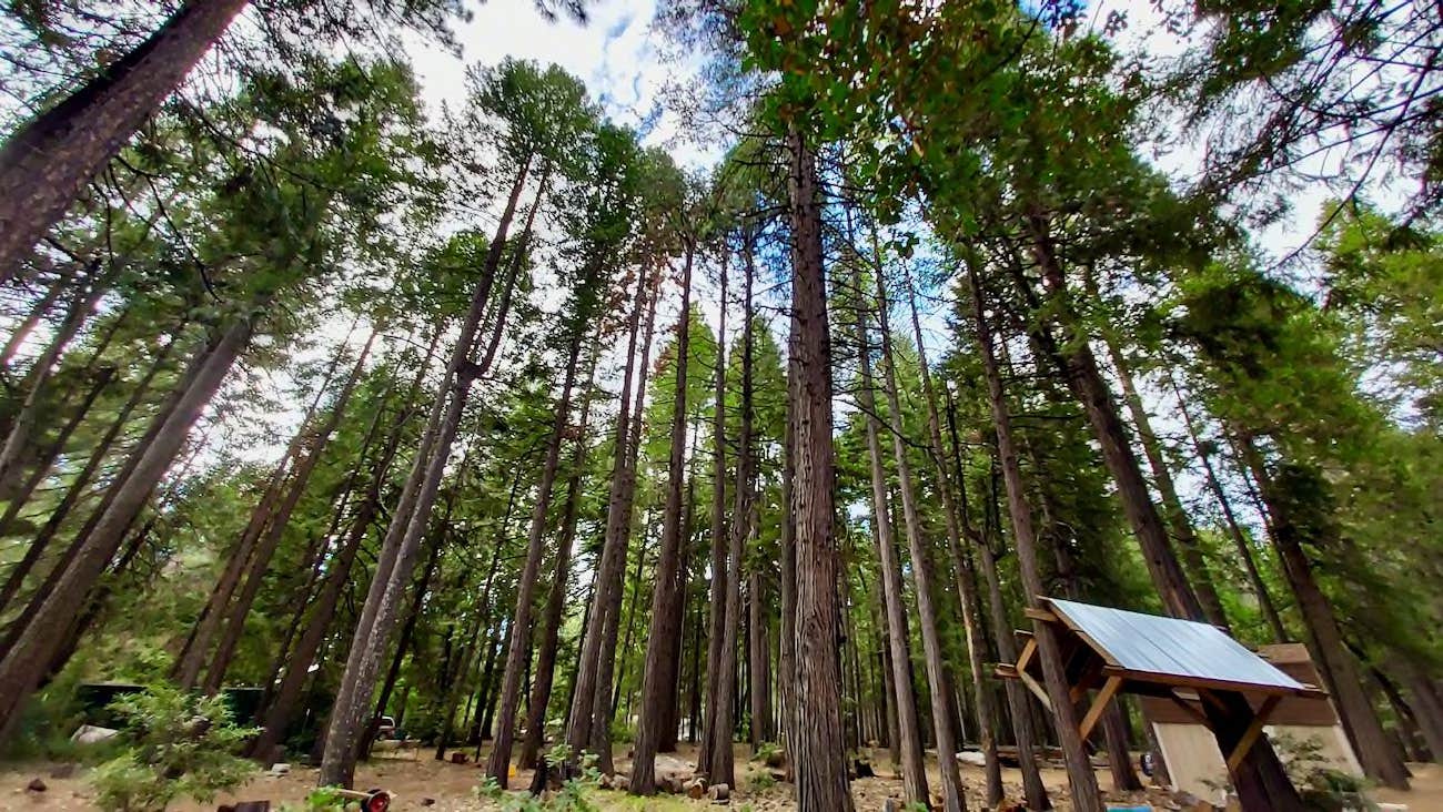 Camper-submitted photo at The House of 13 Rainbows near Washington, CA