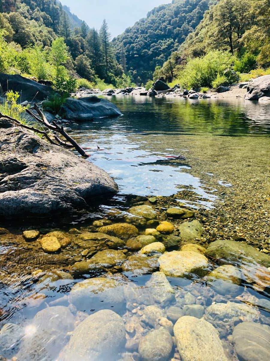 Camper-submitted photo at The House of 13 Rainbows near Washington, CA