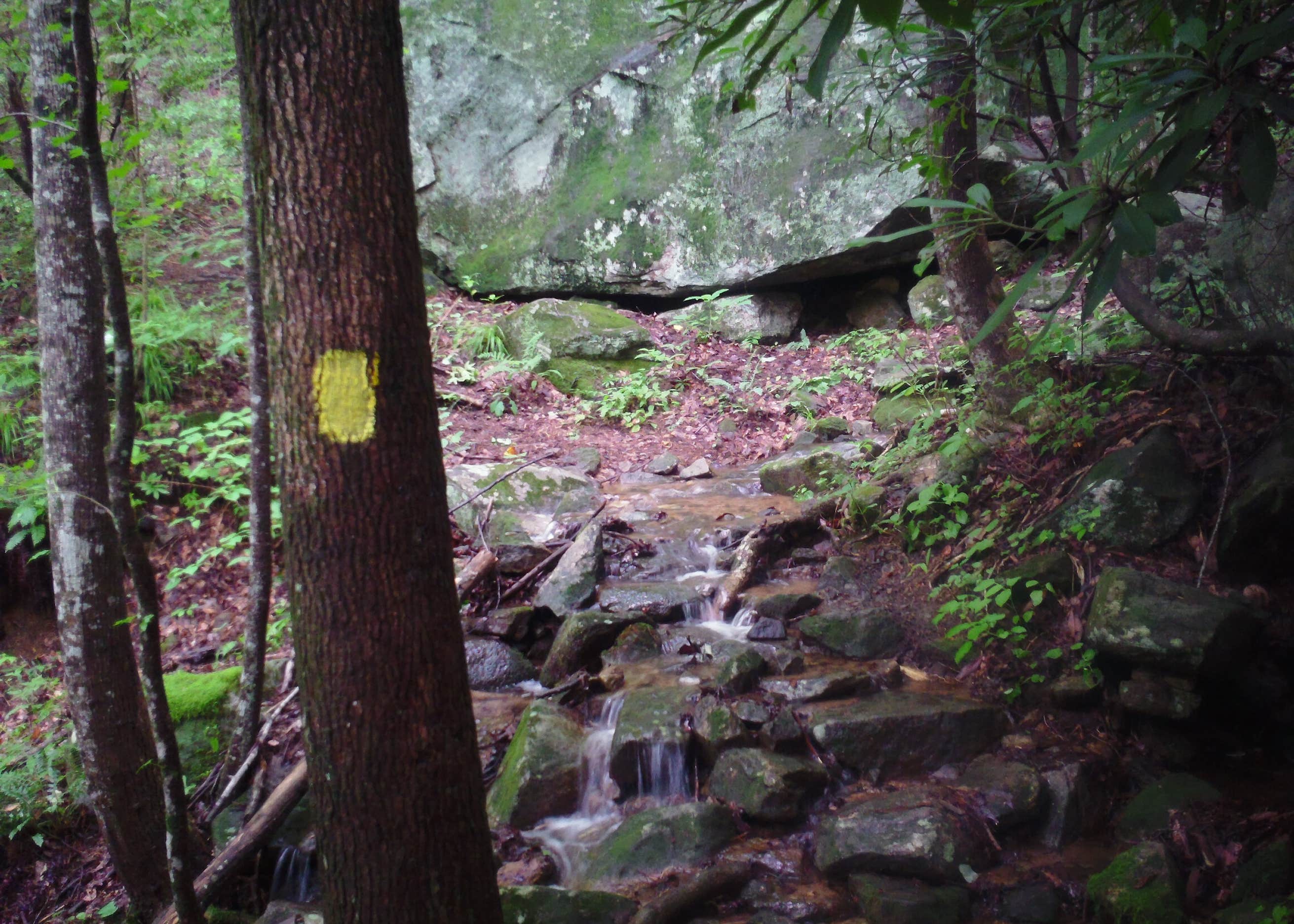 Table Rock State Park Camping Pickens, SC The Dyrt