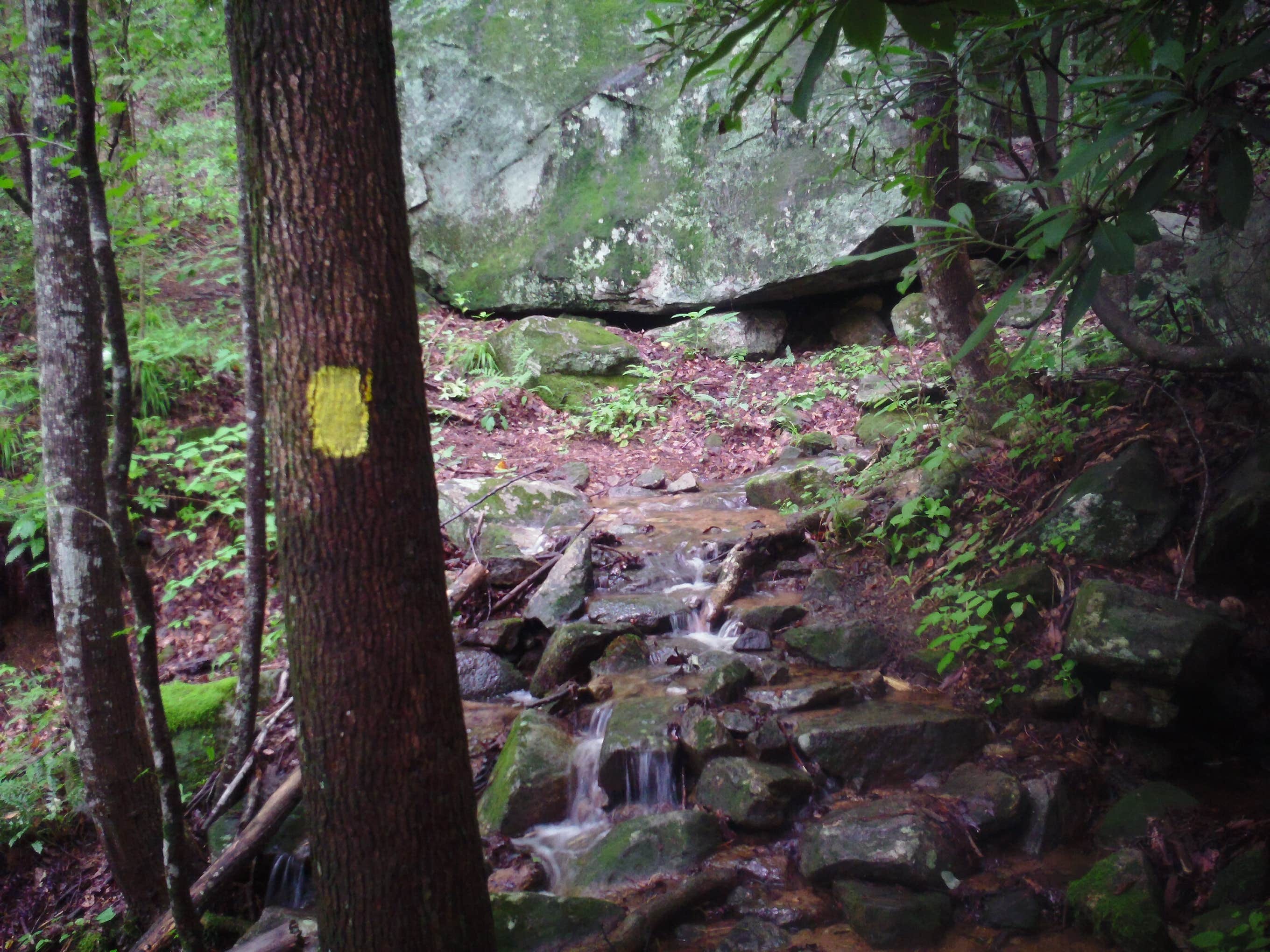 Camper submitted image from Table Rock State Park Campground - 1