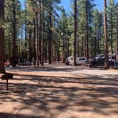 Review photo of Tahoe Valley Campground by Jennifer H., August 20, 2022