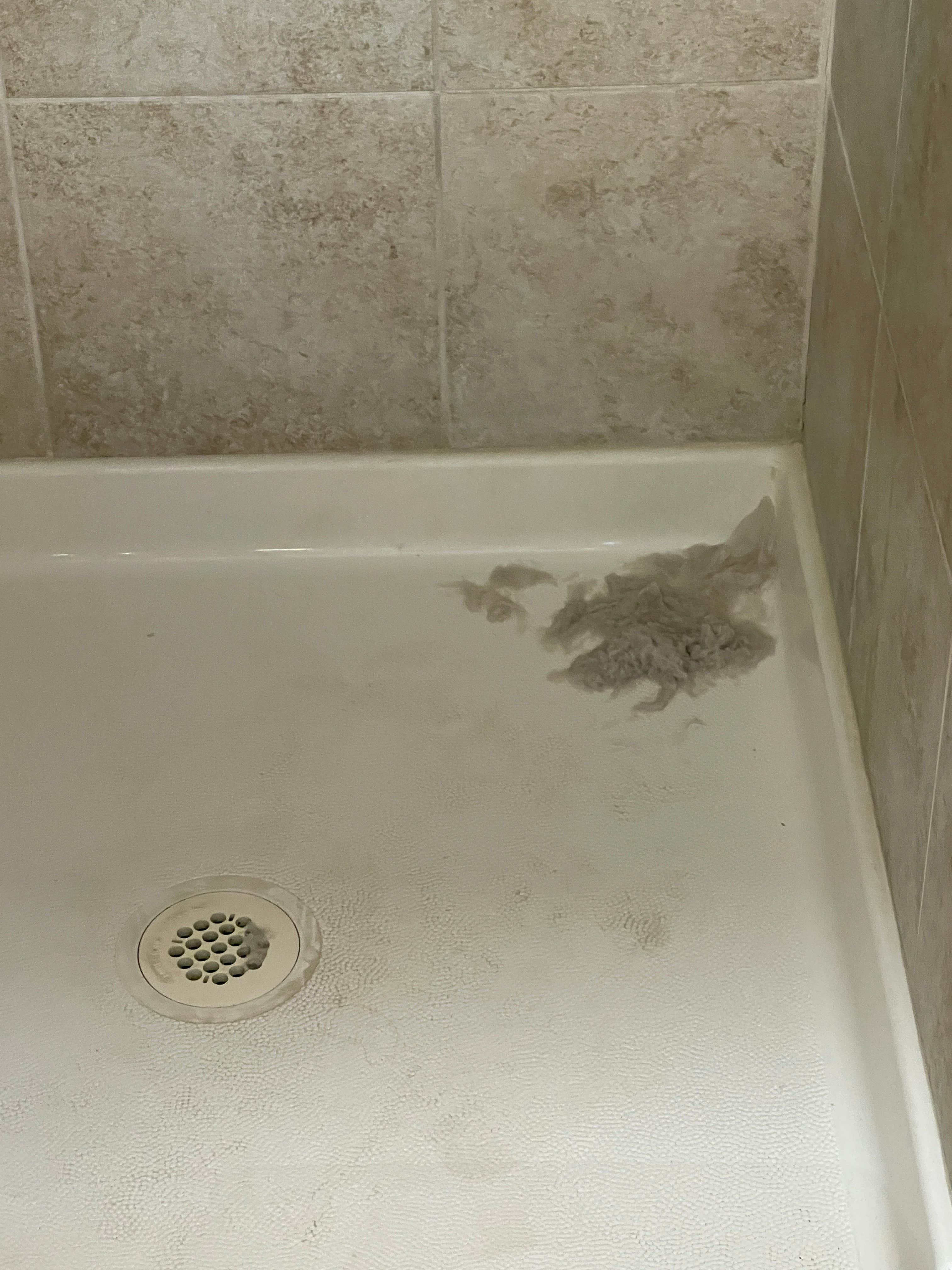 Camper-submitted photo at Duck Neck Campground near Townsend, DE