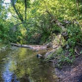 Review photo of Box Elder Campground by Connor O., August 21, 2022