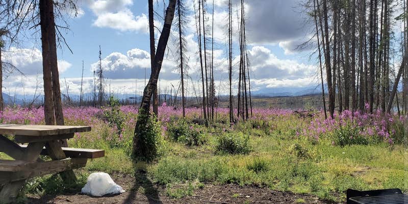 Camper submitted image from Kelly Lake Campground