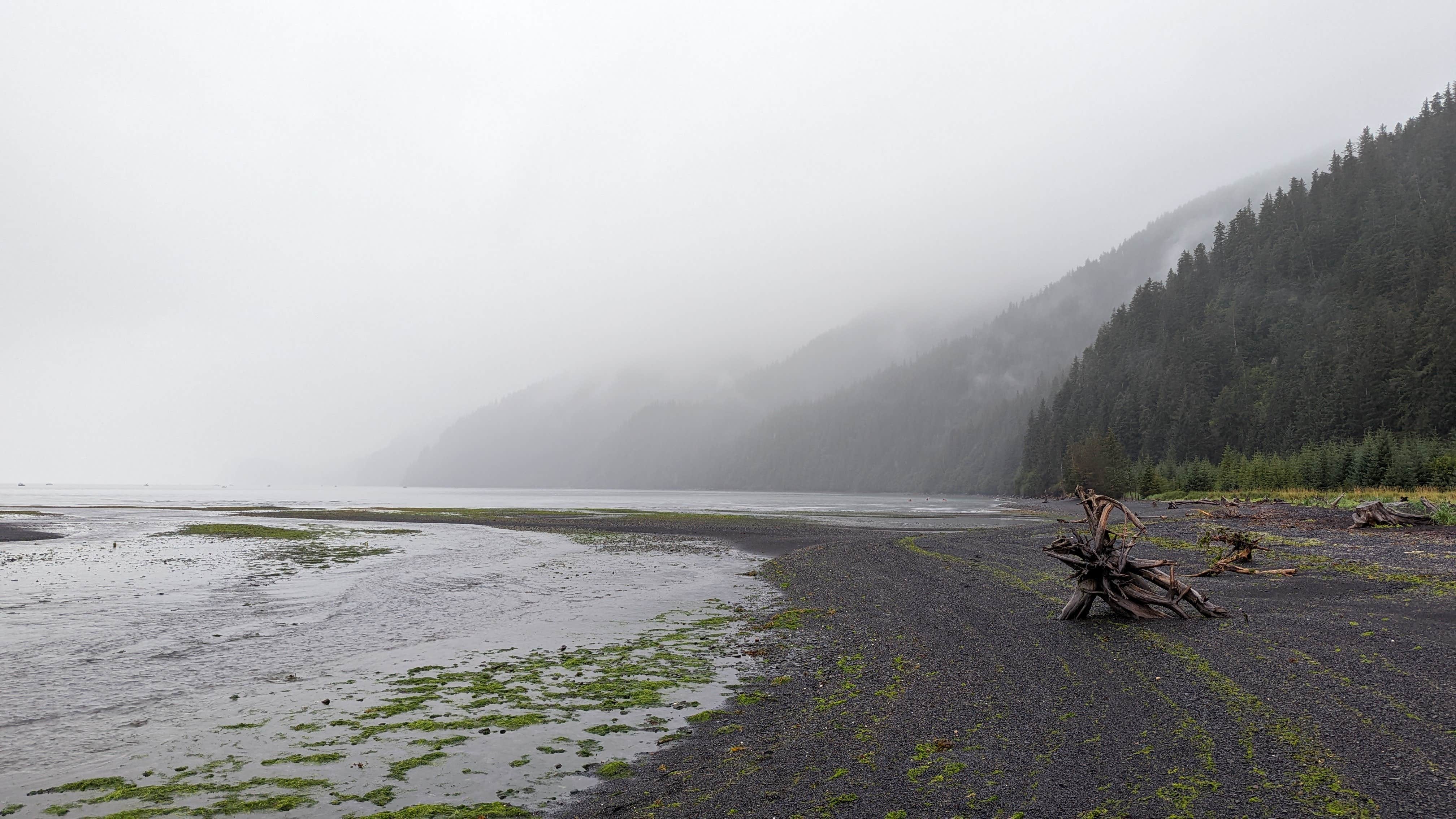 Camper submitted image from Tonsina Point at Caines Head - 4