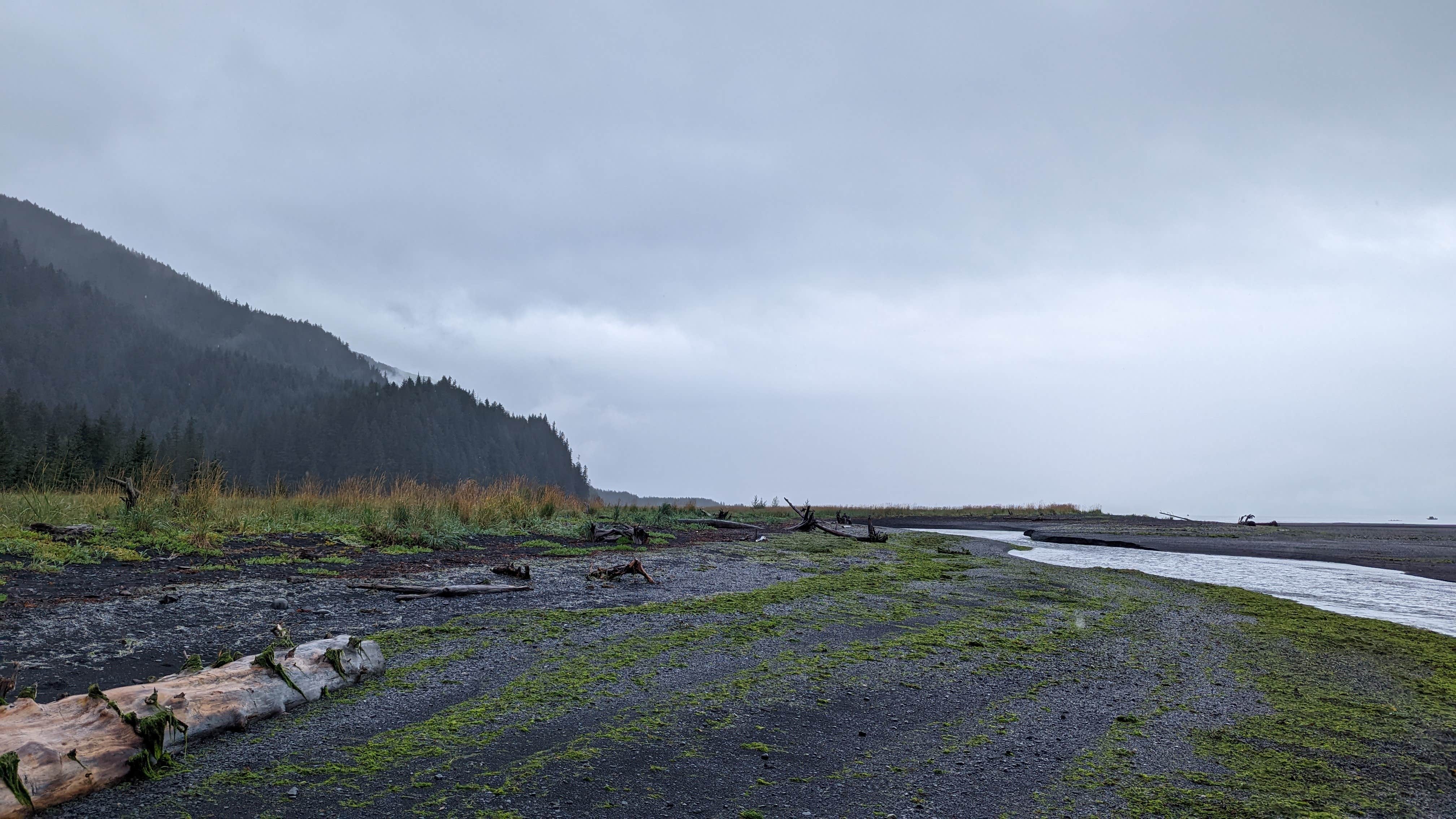 Camper submitted image from Tonsina Point at Caines Head - 3