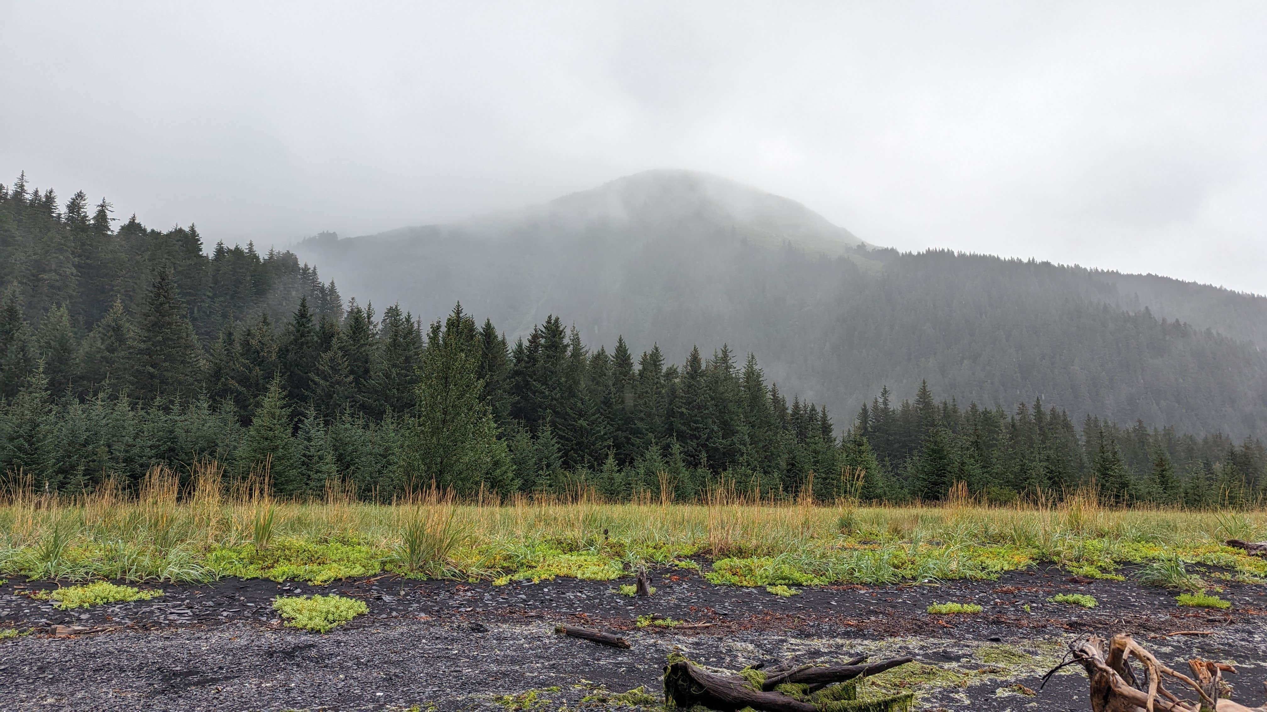 Camper submitted image from Tonsina Point at Caines Head - 1