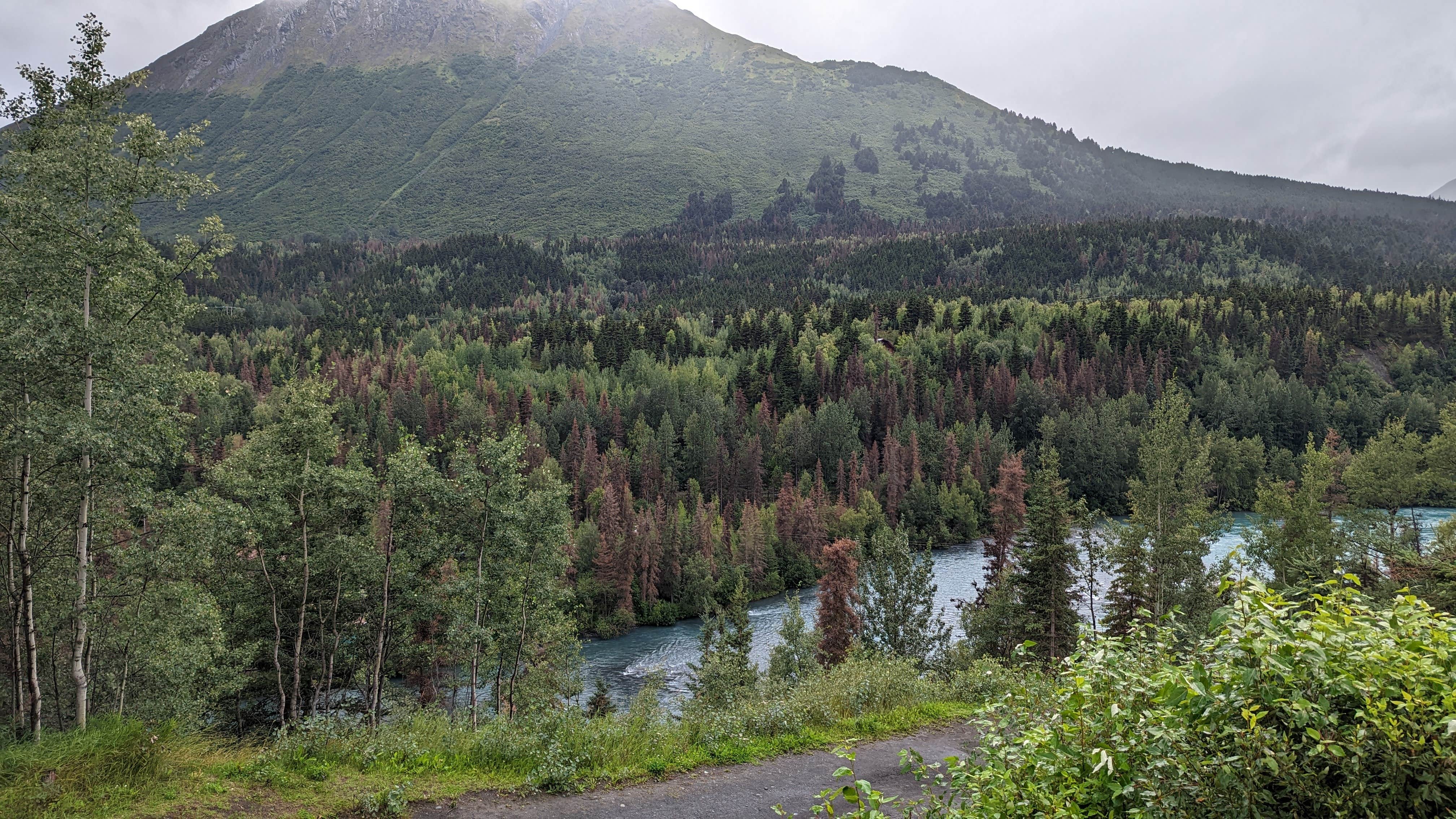 Camper-submitted photo at Kenai Princess Wilderness Lodge & RV Park near Moose Pass, AK