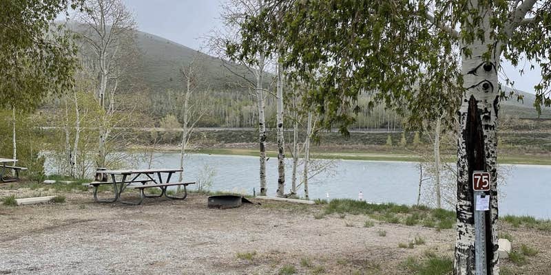 Camper submitted image from Mountain View Campground — Scofield State Park