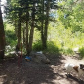 Review photo of Kimball Campground by Connor O., August 21, 2022