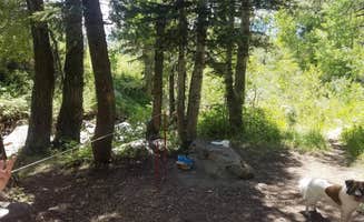 Connor O.'s photo of camping with pets at Kimball Campground near Magna, UT