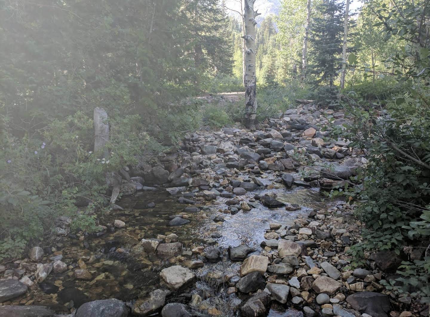 Camper-submitted photo at Kimball Campground near Snowbird, UT