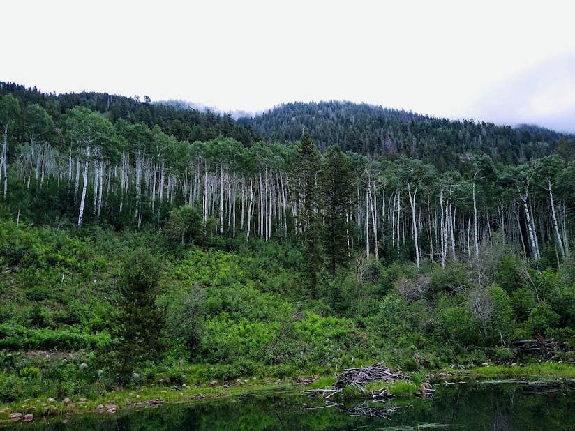 Camper submitted image from Ashley National Forest Whiterocks Campground - 2