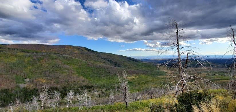 Camper submitted image from Ashley National Forest Uinta Canyon Campground - 2