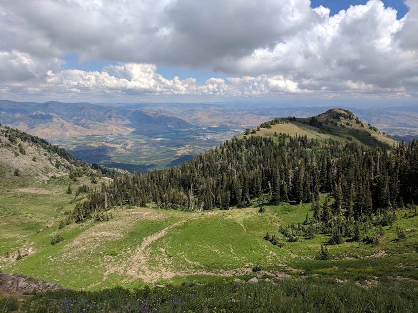 Camper submitted image from Ashley National Forest Uinta Canyon Campground - 1