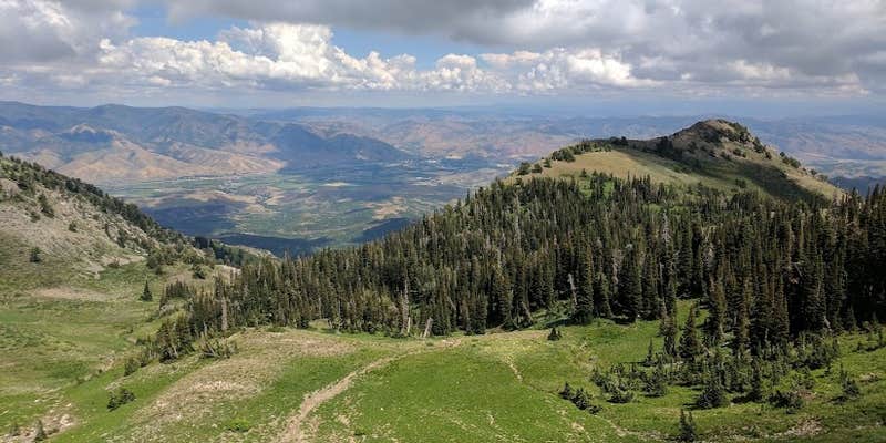 Camper submitted image from Ashley National Forest Uinta Canyon Campground