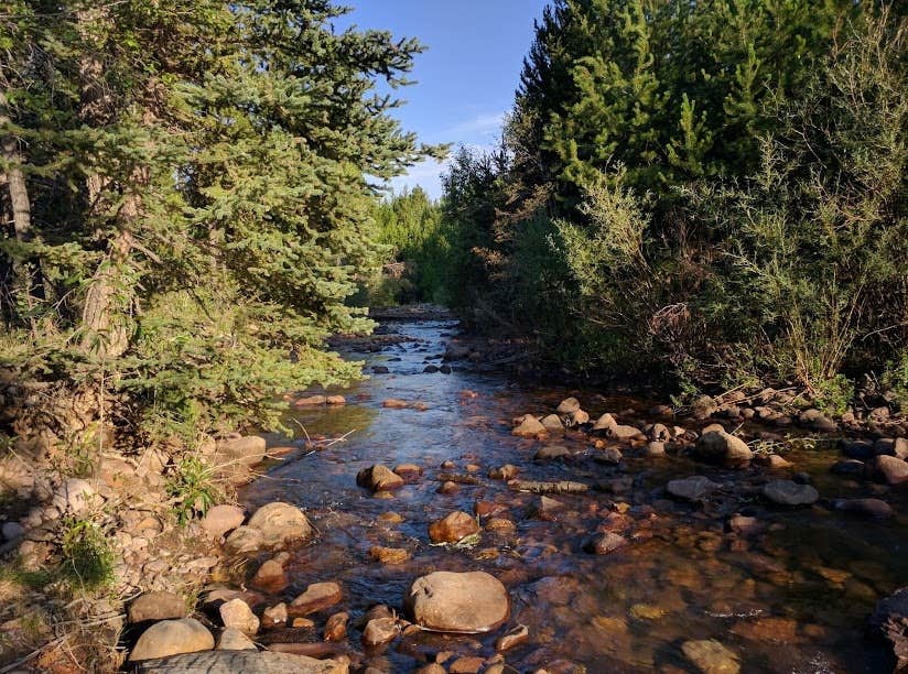 Camper submitted image from Ashley National Forest Uinta Canyon Campground - 3