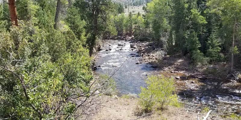 Camper submitted image from Bridge Campground