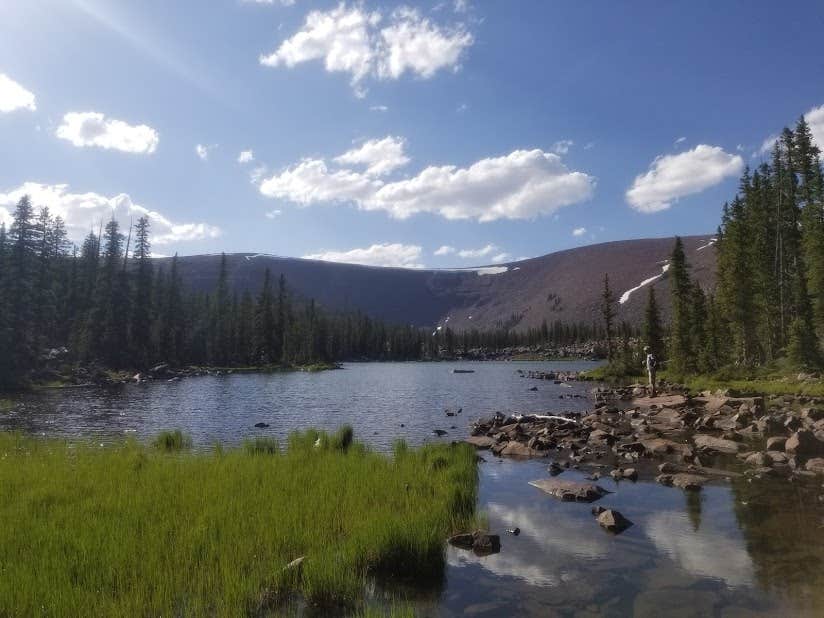 Camper submitted image from Ashley National Forest Pole Creek Lake Campground - 4