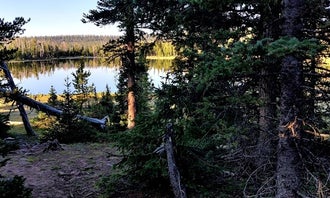 Camping near Paradise: Ashley National Forest Pole Creek Lake Campground, Whiterocks, Utah