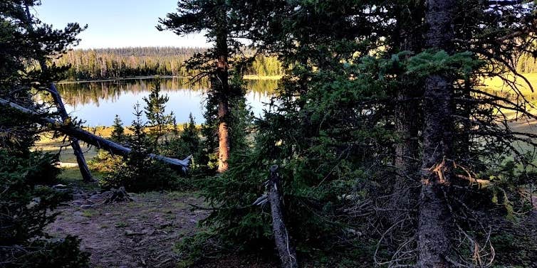 Camper submitted image from Ashley National Forest Pole Creek Lake Campground