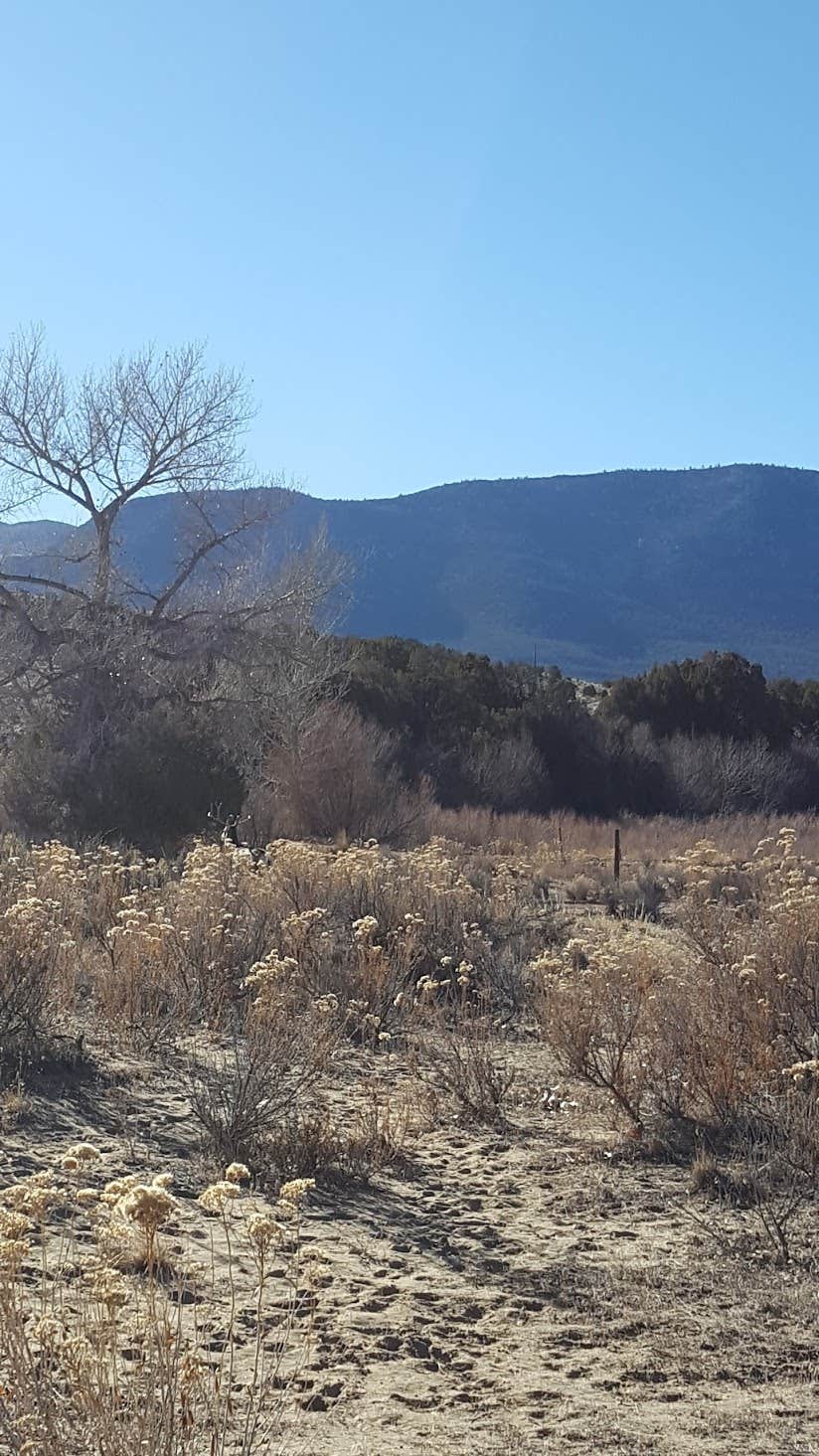Camper-submitted photo at Bridge Hollow Campground — Browns Park Recreation Area near Dinosaur National Monument