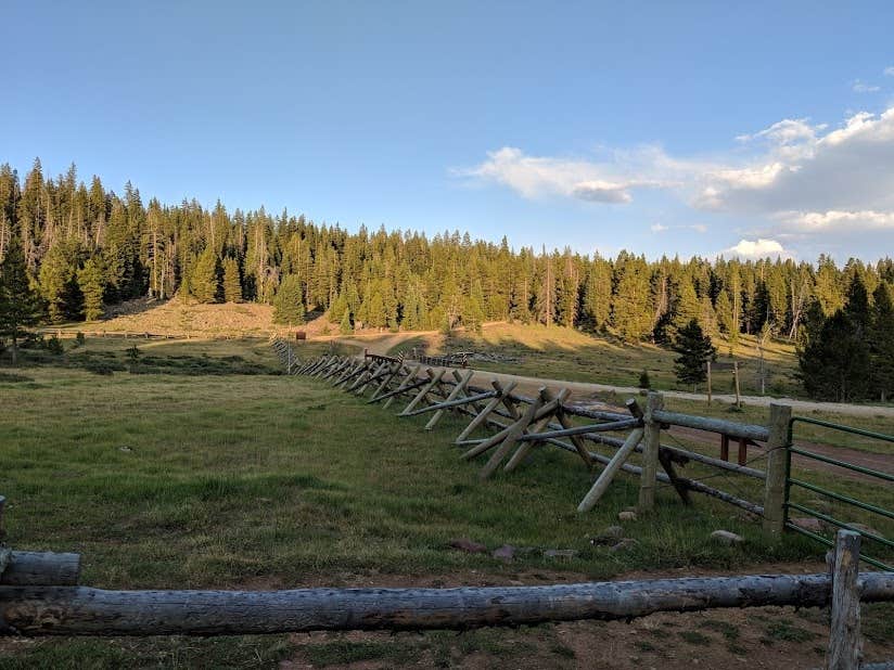 Camping near Ashley National Forest Pole Creek Lake Campground: Ashley National Forest Paradise Park Campground, Whiterocks, Utah