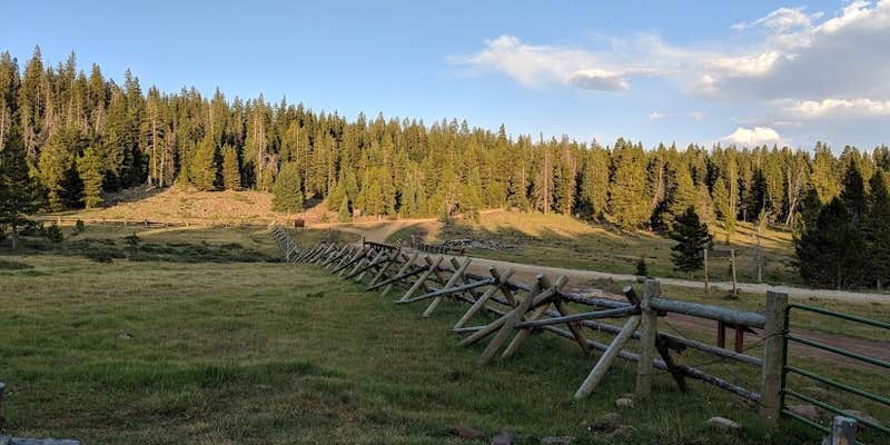 Camper submitted image from Ashley National Forest Paradise Park Campground