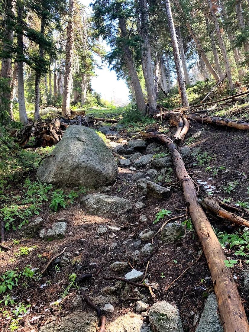 Camper-submitted photo at Lone Peak Cirque Dispersed near Murray, UT