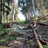 Review photo of Lone Peak Cirque Dispersed by Connor O., August 21, 2022