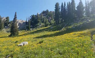 Camping near Red Pine Lake: Lone Peak Cirque Dispersed, Alpine, Utah