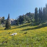 Review photo of Lone Peak Cirque Dispersed by Connor O., August 21, 2022