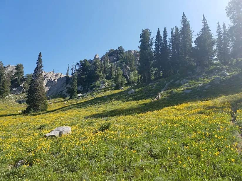 Camper submitted image from Lone Peak Cirque Dispersed - 1