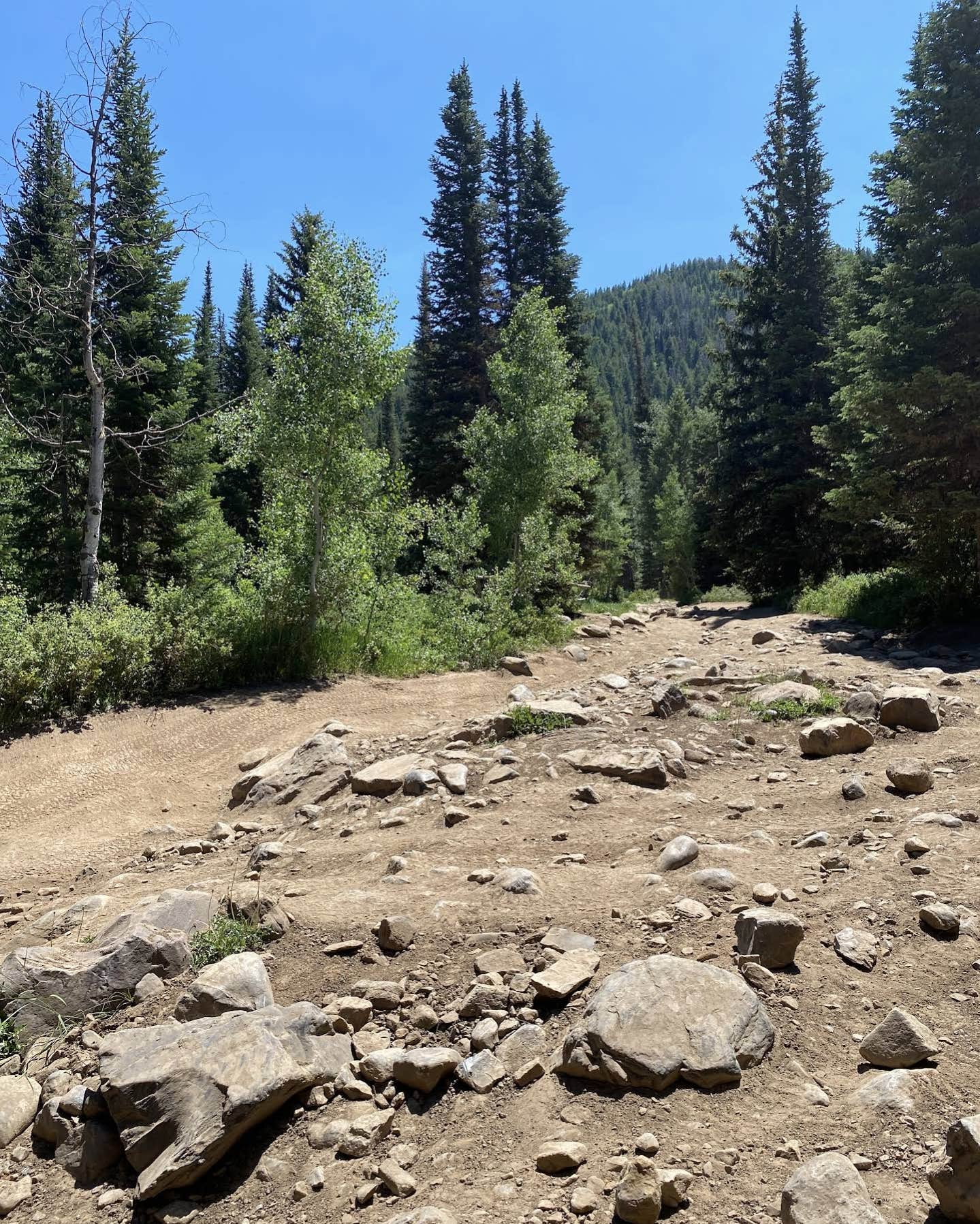 Camper-submitted photo at Mineral Basin Dispersed near Murray, UT