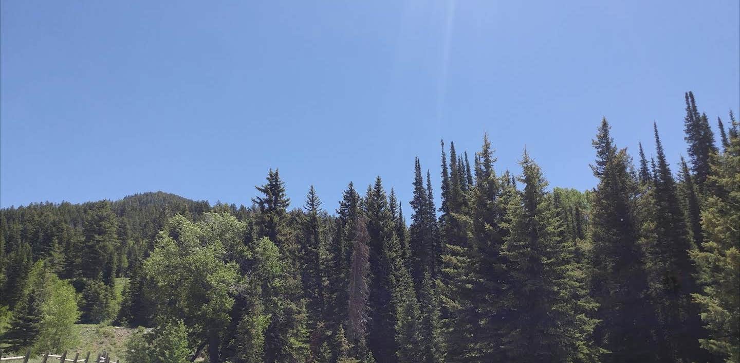 Camper-submitted photo at Mineral Basin Dispersed near Murray, UT