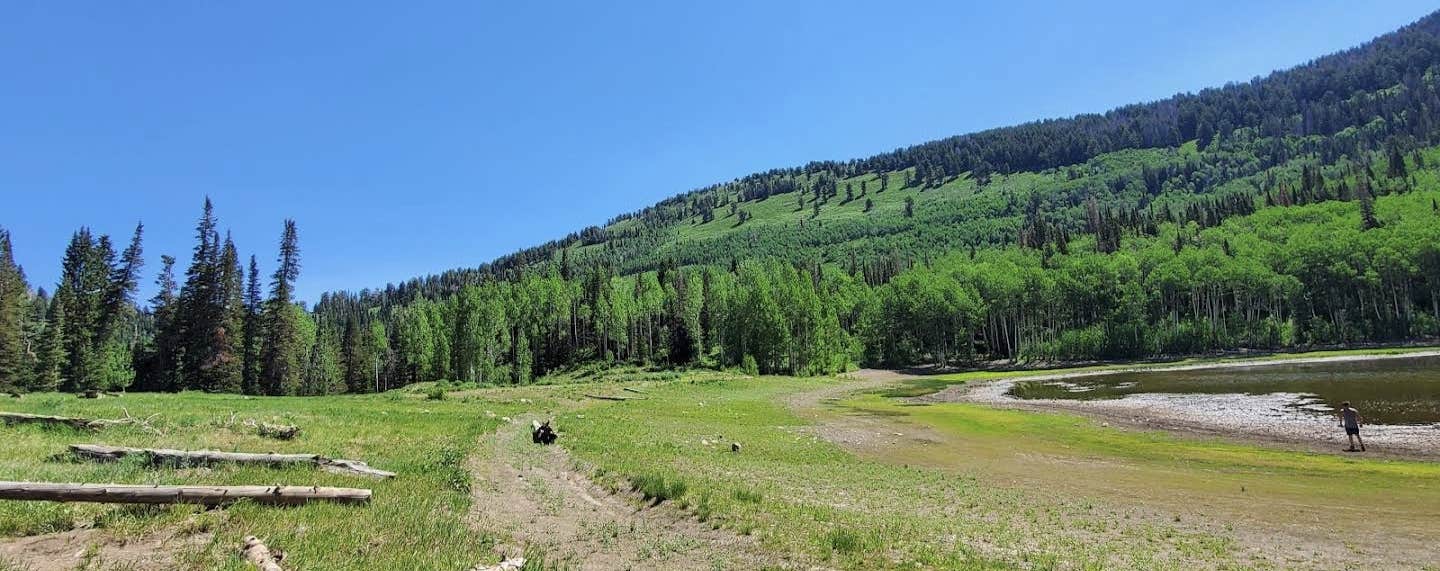 Camper-submitted photo at Mineral Basin Dispersed near Snowbird, UT