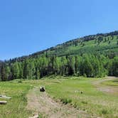 Review photo of Mineral Basin Dispersed by Connor O., August 21, 2022