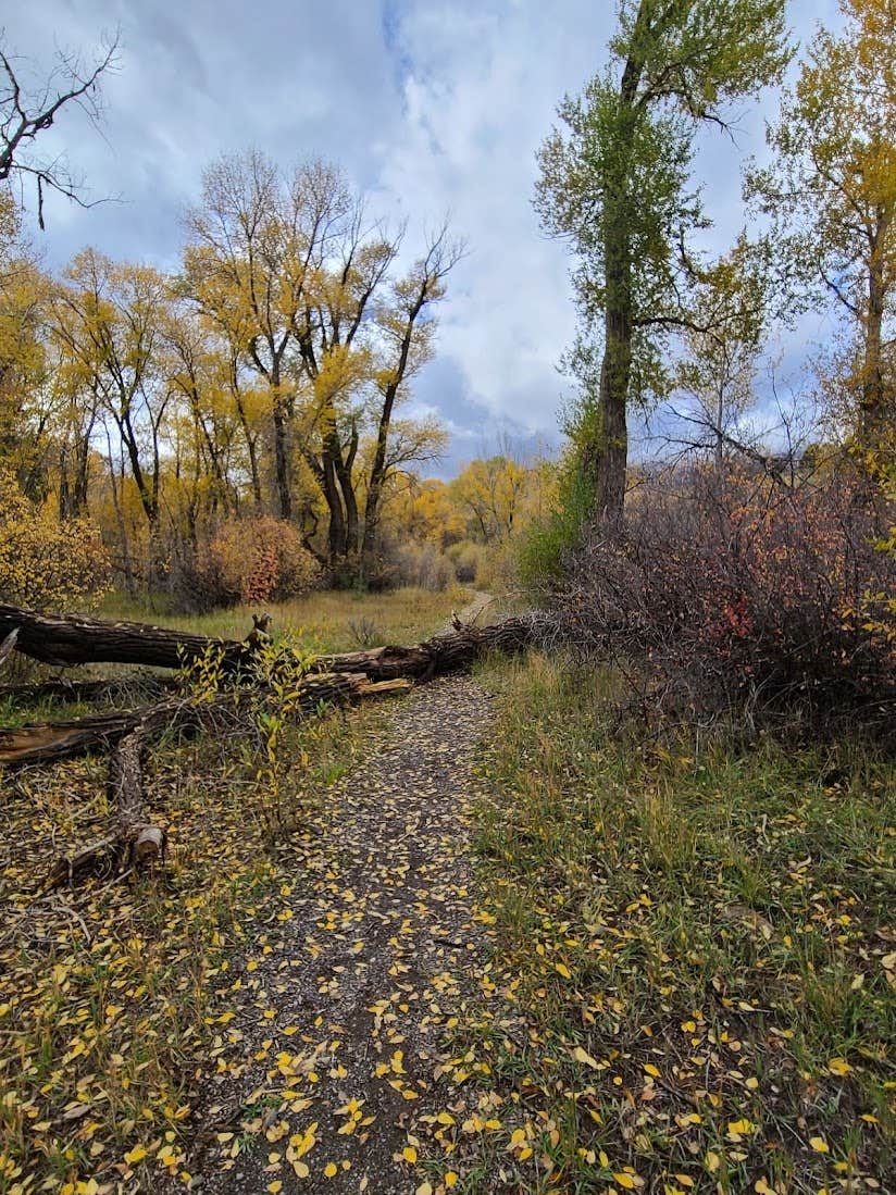 Camper-submitted photo at Diamond Fork near Fairview, UT